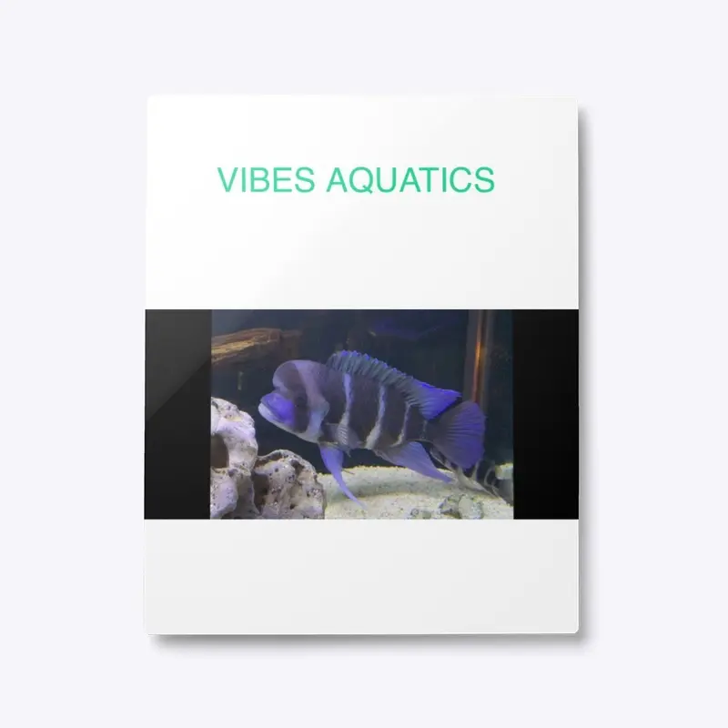 Vibesaquatics 