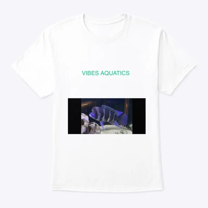 Vibesaquatics 