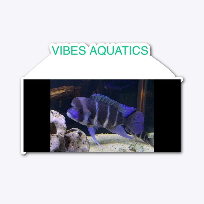 Vibesaquatics 